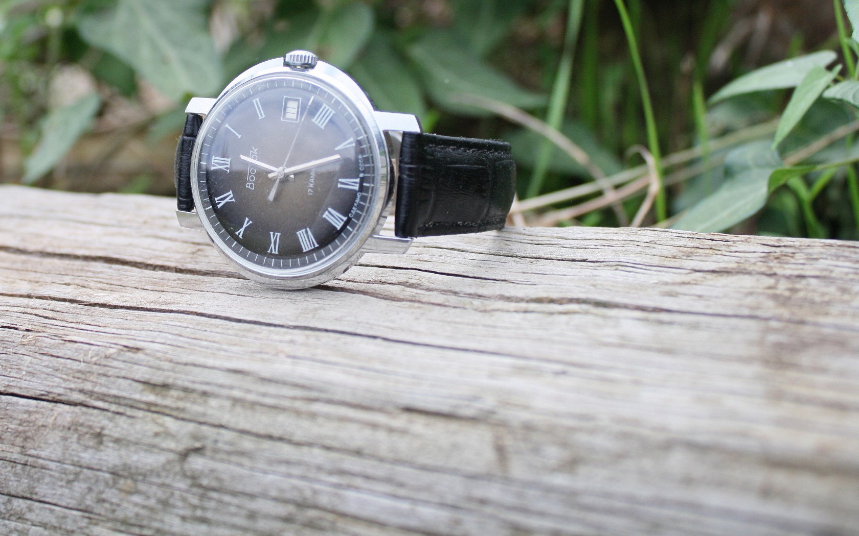 Vostok Civilian Watch